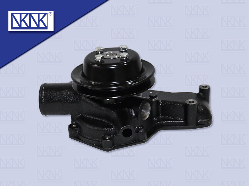 ปั๊มน้ำ NS FD6 NKN