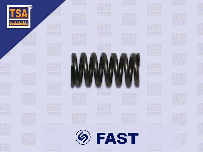 สปริงลูกปืนดันฝาเกียร์ด้านข้าง FAST 9JS200T 9JS119T-B