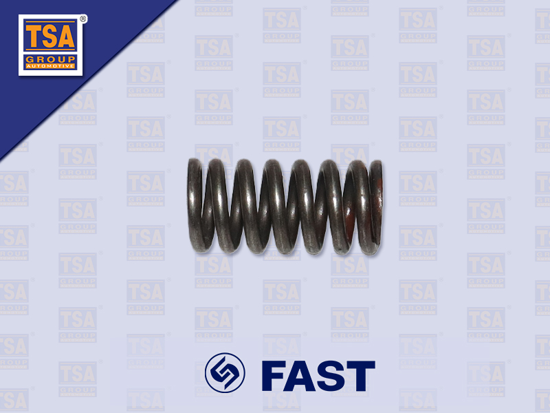 สปริงลูกปืนดันฝาเกียร์ด้านข้าง FAST 12JS200TA 8774-11
