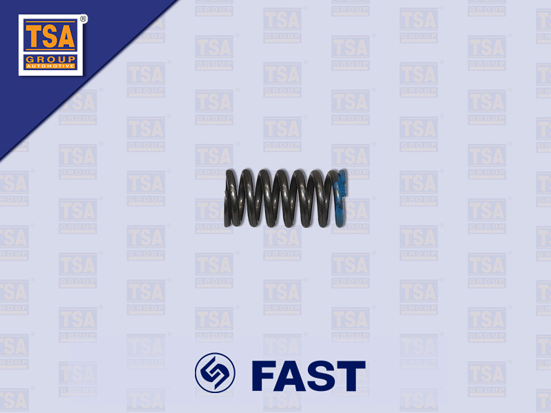 สปริงลูกปืนดัน FAST 6DS100TA 8774-14