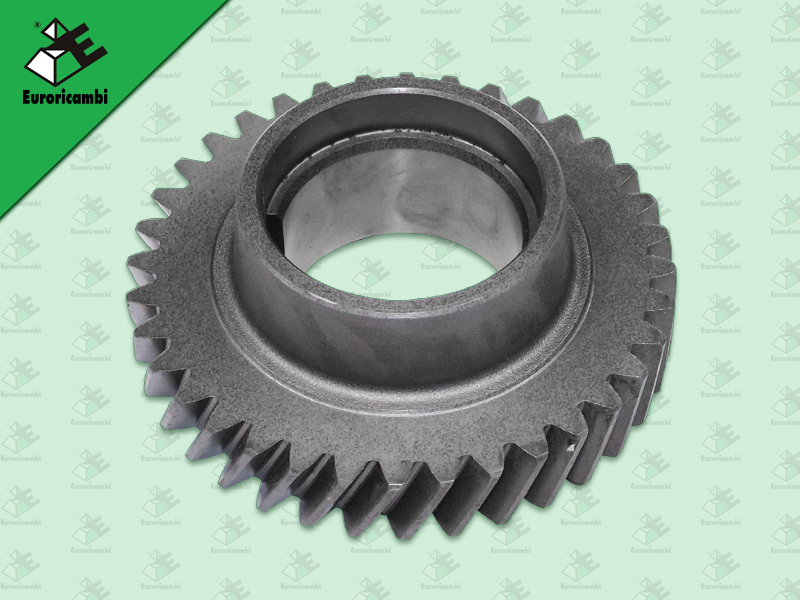 เฟืองราวล่าง IS ROCKY175 36 ฟัน (TSA)