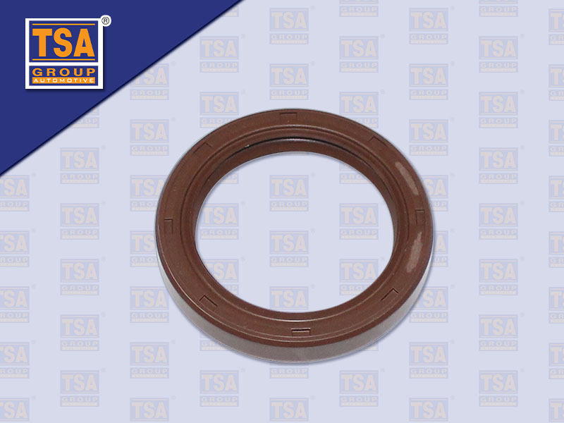 ซีลตีต๋า HN MEGA260 48*65*10 MM (TSA)