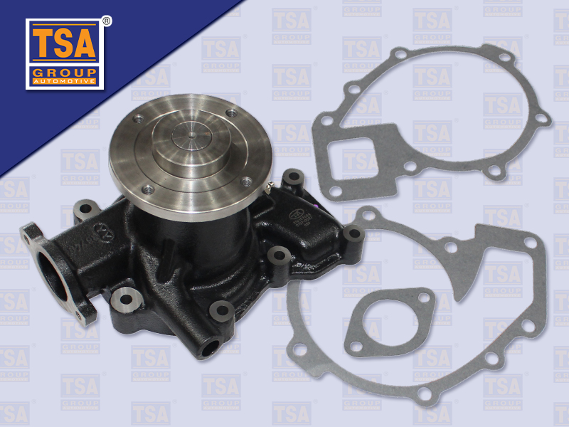 ปั้มน้ำ NS PK250 FE6 T (อย่างดี)
