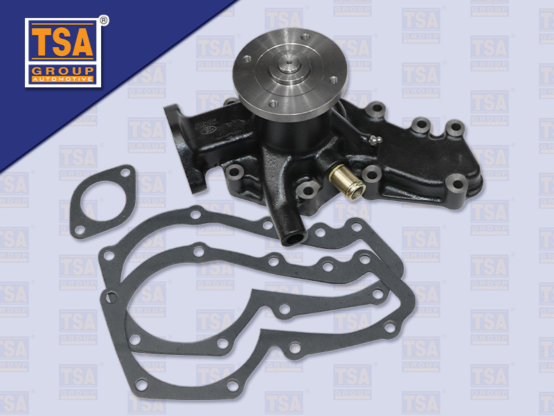 ปั้มน้ำ NS FE 6C (TSA)