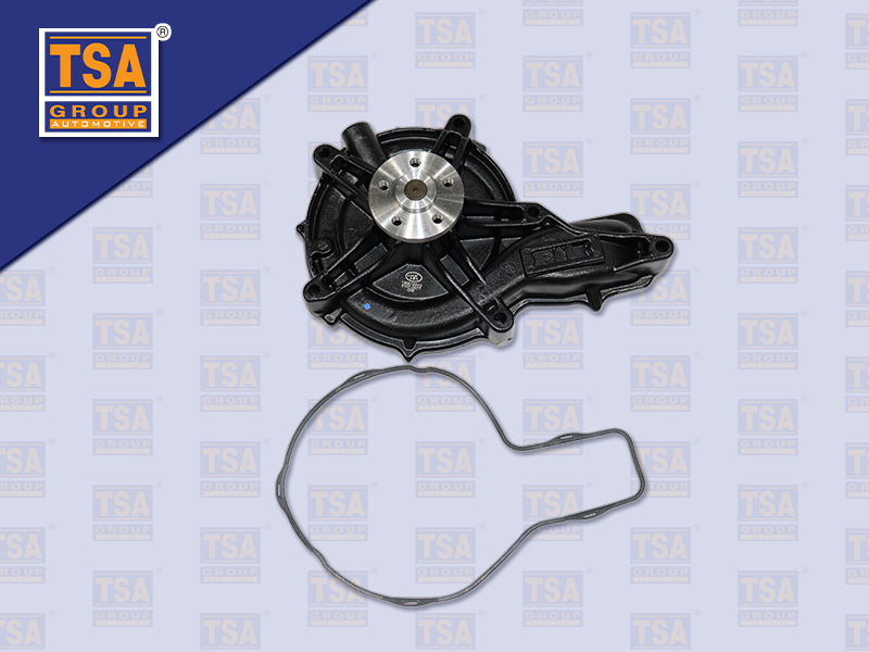 ปั้มน้ำ VL 400 FH13 (TSA)