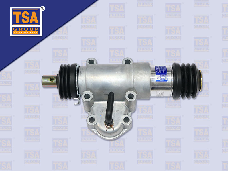 เพาเวอร์ชิฟ HN MS NS อย่างดี (HNTC)