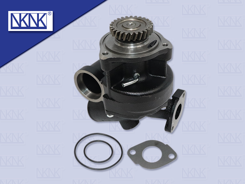 ปั๊มน้ำ NS PF6T + ฝา 21010:96211 (NKN)