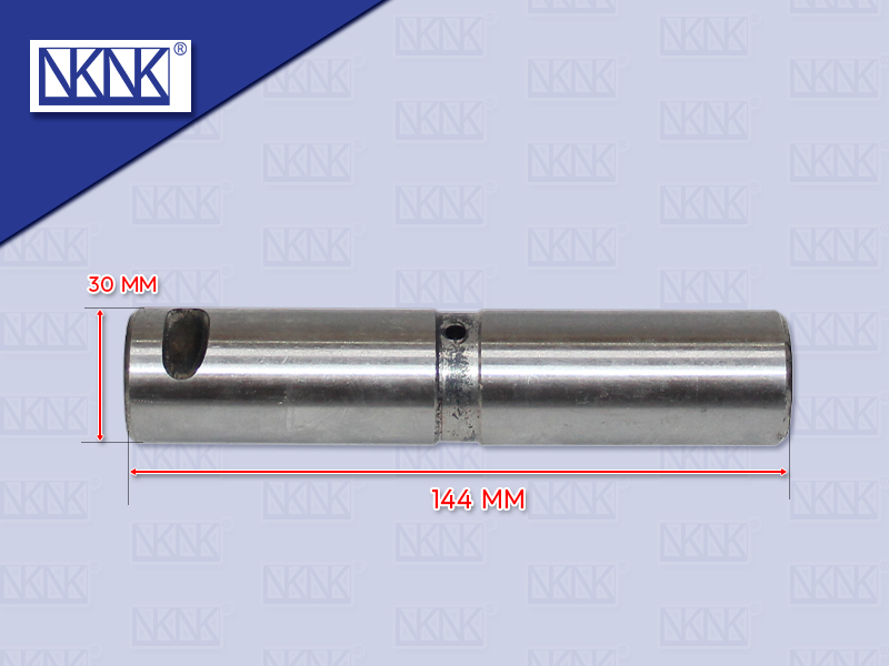 สลักแหนบหน้า ตัวหลัง NS 30*144