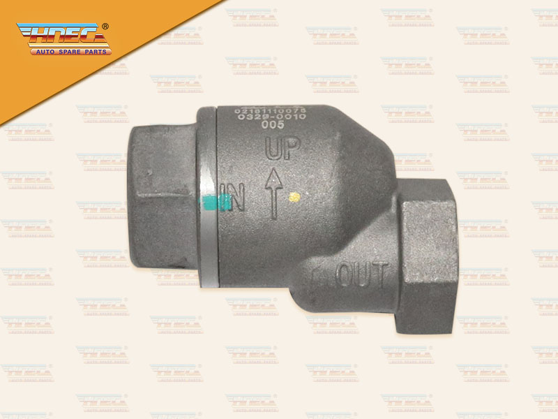 วาล์วกันย้อน ตรง