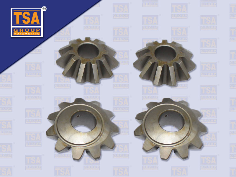 ดอกจอกระฆังตัวเล็ก FS 527 627 (เกาหลี)