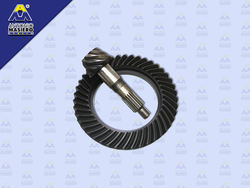 จานเดือย TY COASTER ไดน่า 8.43 (EURO)