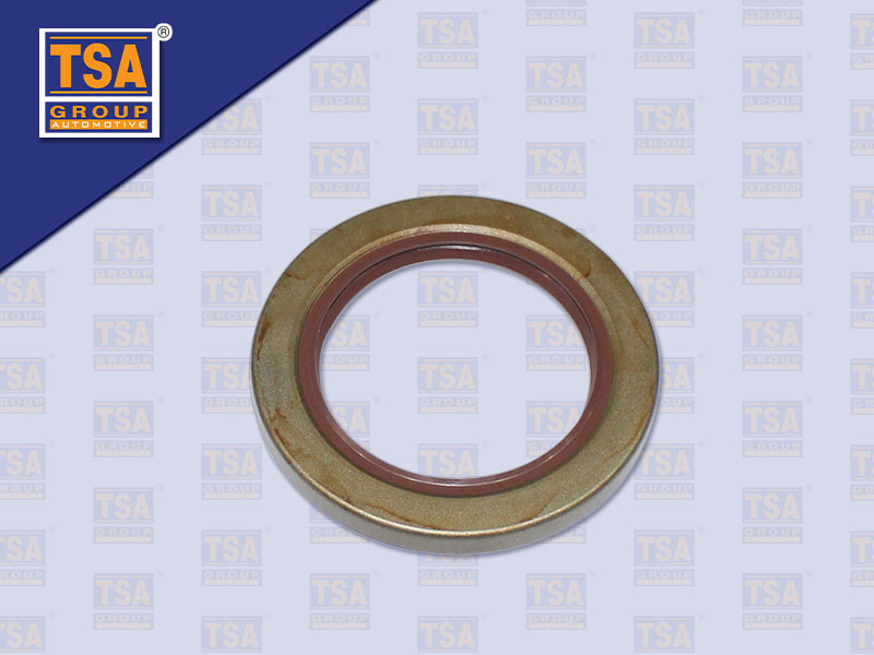 ซีลเกียร์ฝาก ZF 55*80*8 MM