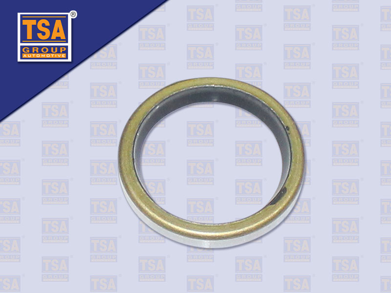 ซีลในรูสลักหัวหมูเกียร์ IS FTR 240 FTR175 32*24*4 MM