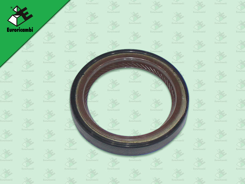 ซีลในรูตีต๋าเกียร์ ZF270 48*65*10 MM