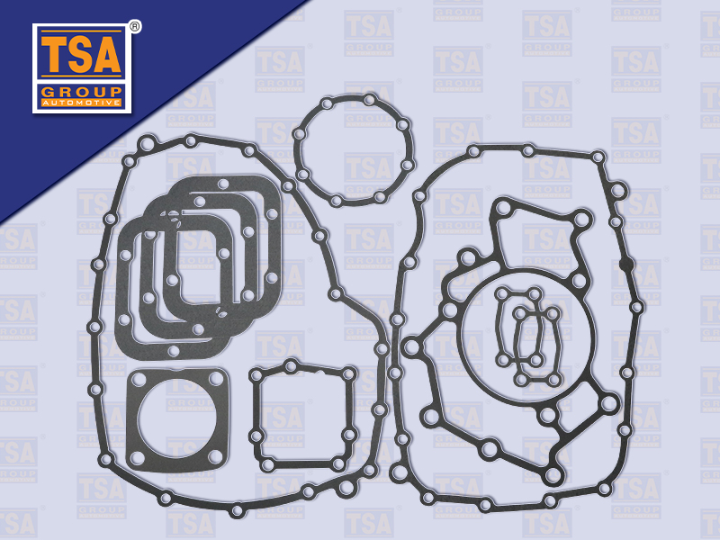 ชุดปะเก็นเกียร์ ZF195