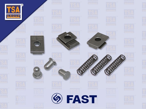 [6607-0008] ชุดตัวหนอน+ลูกปืน+สปริงเกียร์ร่วม 3-4 FAST 6DS100T