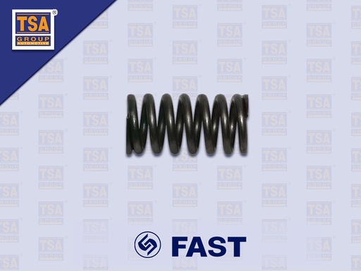 [9005-0135] สปริงลูกปืนดันฝาเกียร์ด้านข้าง FAST 9JS200T 9JS119T-B