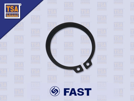 [9005-0243] ปริ้นล็อคลูกปืนราวข้าง FAST 9JS200T 12JS200TA