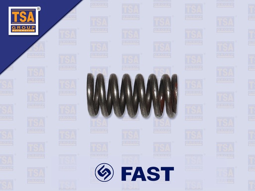[9005-0351] สปริงลูกปืนดันฝาเกียร์ด้านข้าง FAST 12JS200TA 8774-11