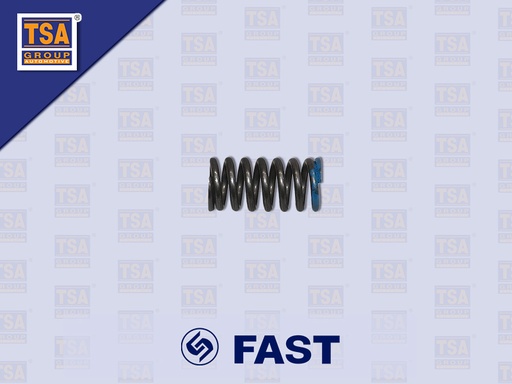 [9005-0485] สปริงลูกปืนดัน FAST 6DS100TA 8774-14