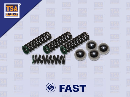 [6607-0001] ชุดสปริงลูกปืนด้นฝาเกียร์ FAST 935200T 9JS119T-B 12JS200TA 6DS100TA