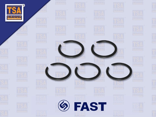 [6607-0058] ปริ้นล็อคลูกปืนราวข้าง FAST 9JS119T-B 14317 1ชุด=5ตัว