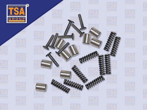 [0105-0146] สปริง+ตะปู+ลูกปืนเกียร์ร่วม HN MEGA260 (ไต้หวัน)