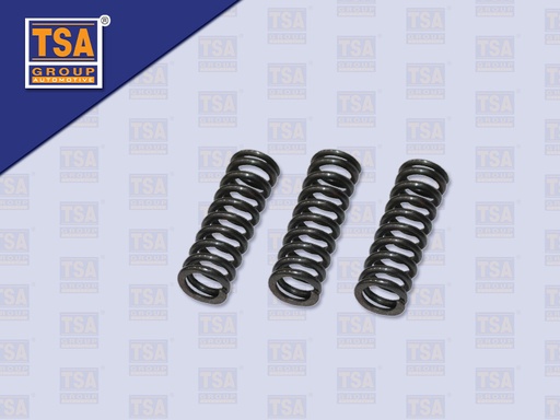 [0105-0383] สปริงเกียร์ HN FG8J 2-3-4-5-6 SZ501-14002 1 ชุด= 3 ตัว (TSA)