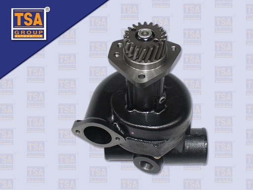 [0107-0025] ปั้มน้ำ NS CK46 PE6 (อย่างดี)