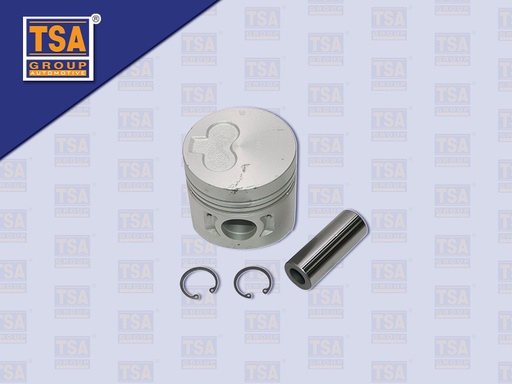 [0107-0079] ลูกสูบ 4DR7 (TSA)