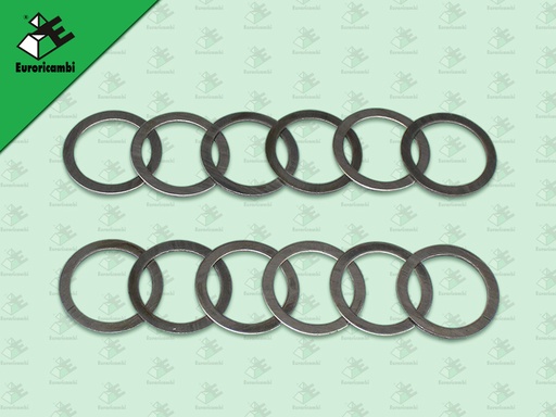 [95.53.0665] แหวนรองสลักเสื้อเฟืองทด ตัวเล็ก IS ZF195 ZF270 DECA195 1 ชุด = 12ตัว