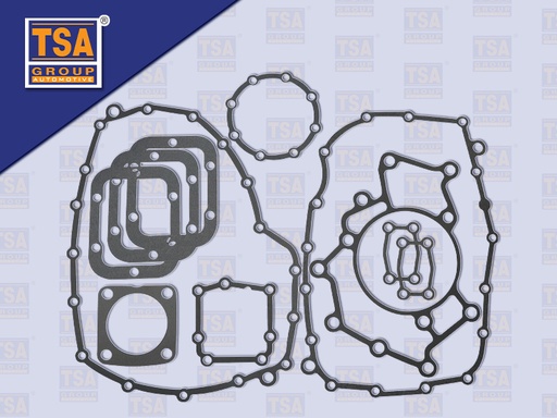 [9905-0045] ชุดปะเก็นเกียร์ ZF195